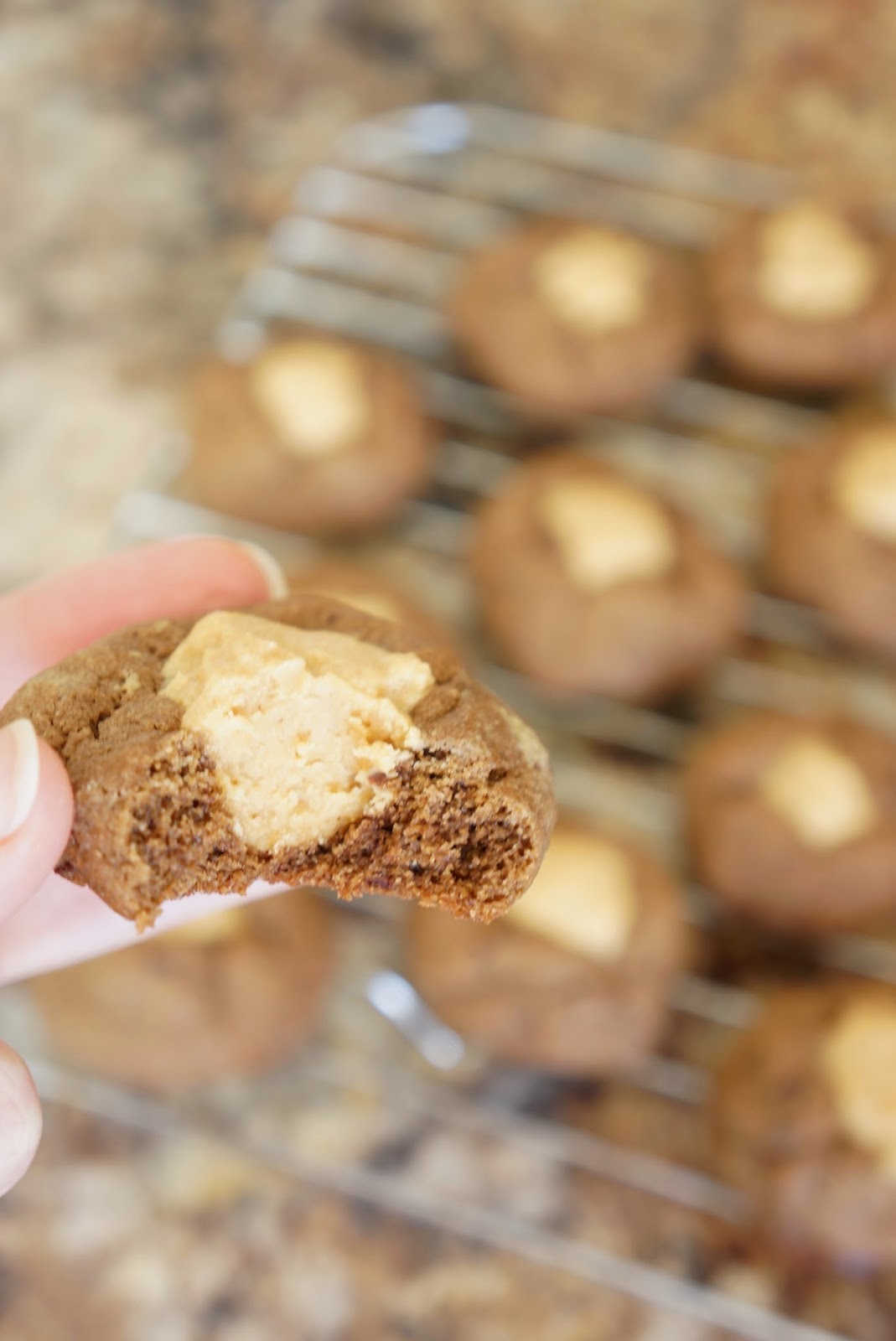 Buckeye Cookies total time 1 hour Alley's Recipe Book