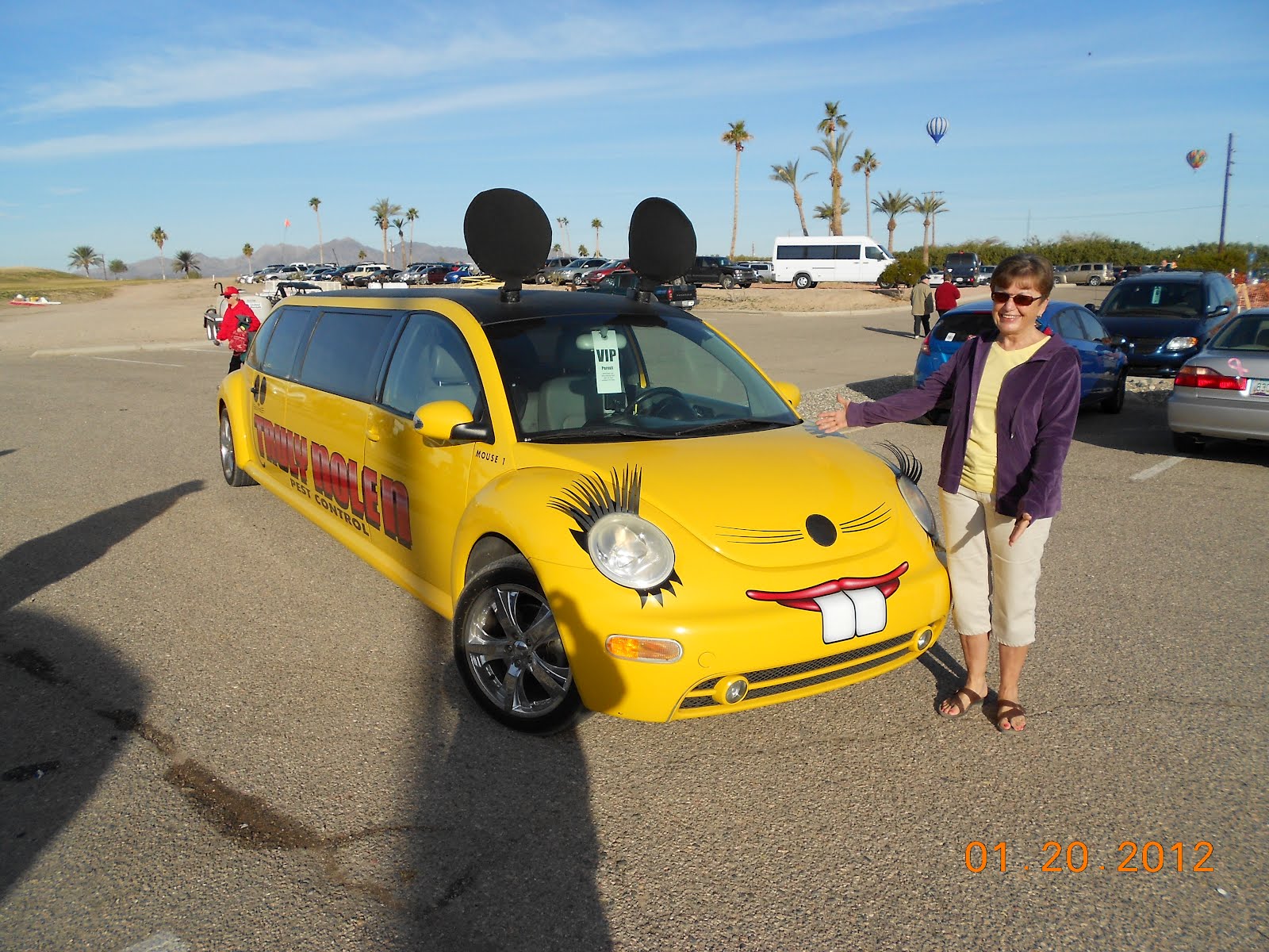 multi colored vw