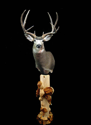 taxidermy mount display stand