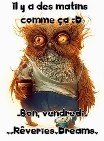 Citations Option Bonheur Citation Pour Ceux Qui Se Reveillent De Mauvaise Humeur