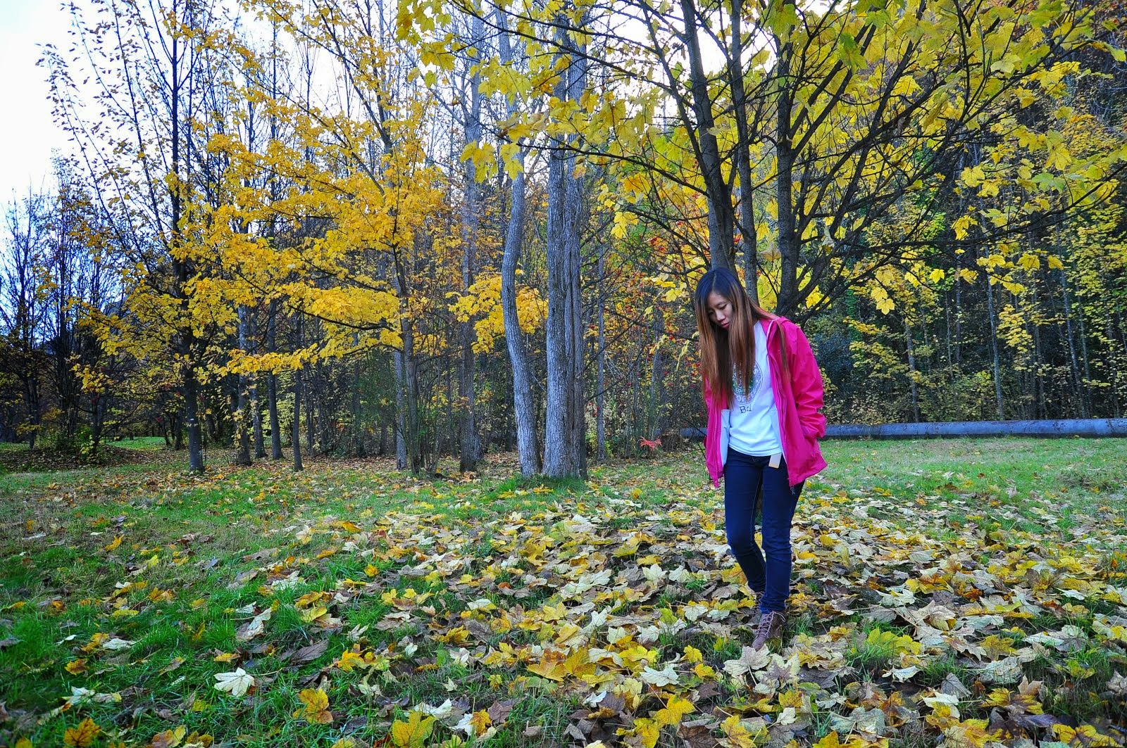 Arrowtown, New Zealand