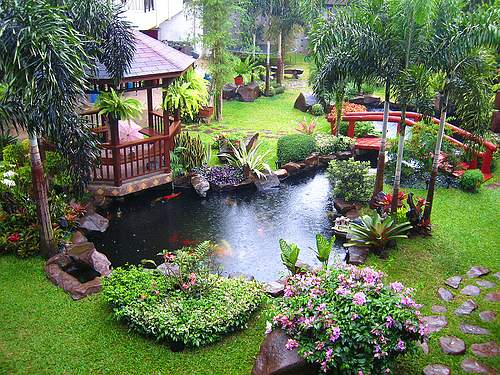 tropical home landscaping