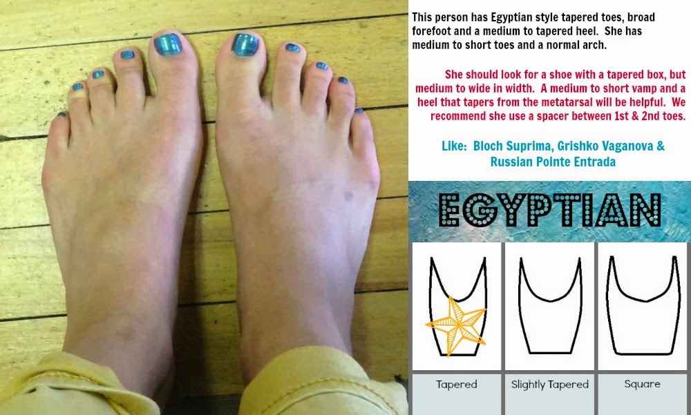 The Remedial Ballerina February 2014