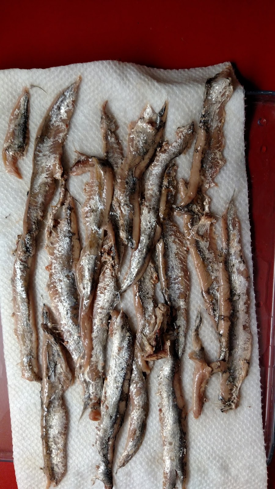 Ortiz Salt Packed Anchovies