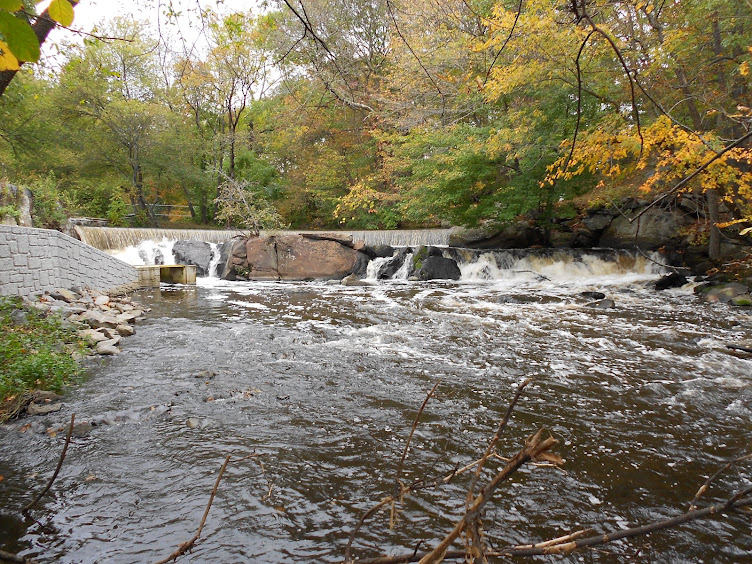 Hunts River Fish ladder