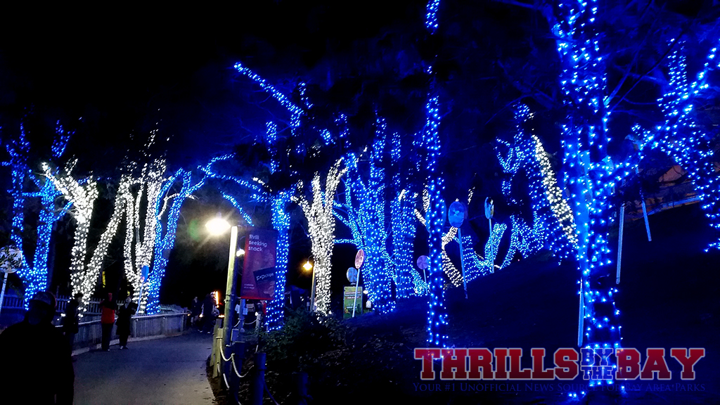 wish there were more areas light up like this in the park we love being surrounded by christmas lights - When Does Christmas In The Park Open wish there were more areas light up like this in the park we love being surrounded by christmas lights - When Does Christmas In The Park Open