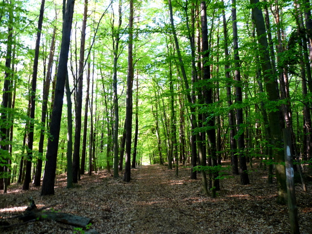 Submarine Bunker Lager Koralle U Boat Hq Abandoned Berlin