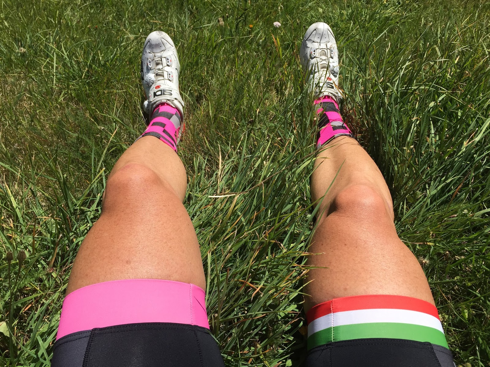 Nicodavinci Slowcarb Experte Und Futter Rebell