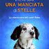 Oggi in libreria: "AVEVO SOLO UNA MANCIATA DI STELLE" La storia vera del cane Ruby di Carola Vannini