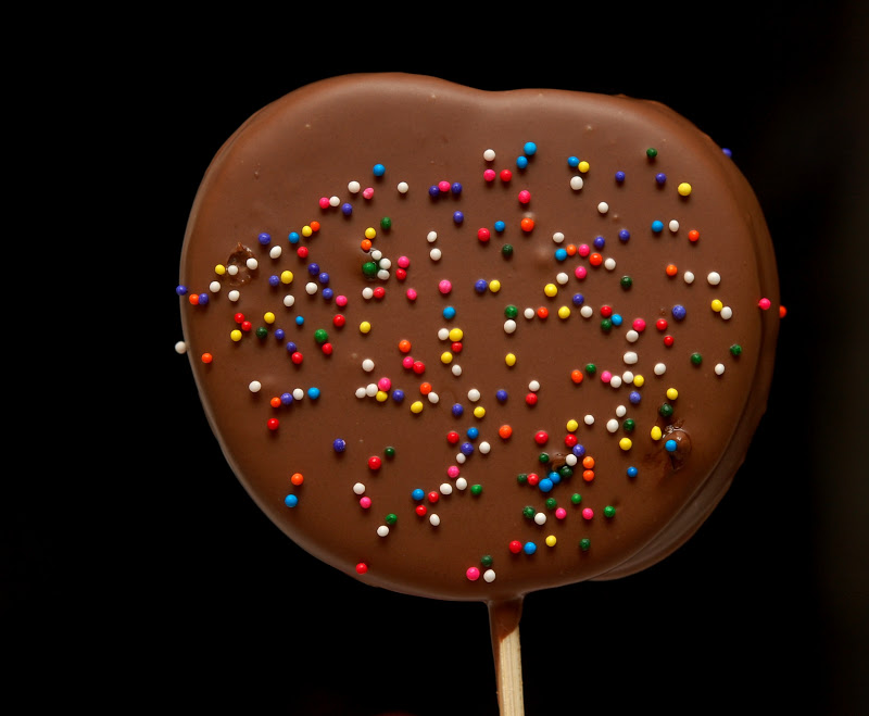 CHOCOLATE DIPPED APPLE SLICE LOLLIPOPS Hugs and Cookies XOXO