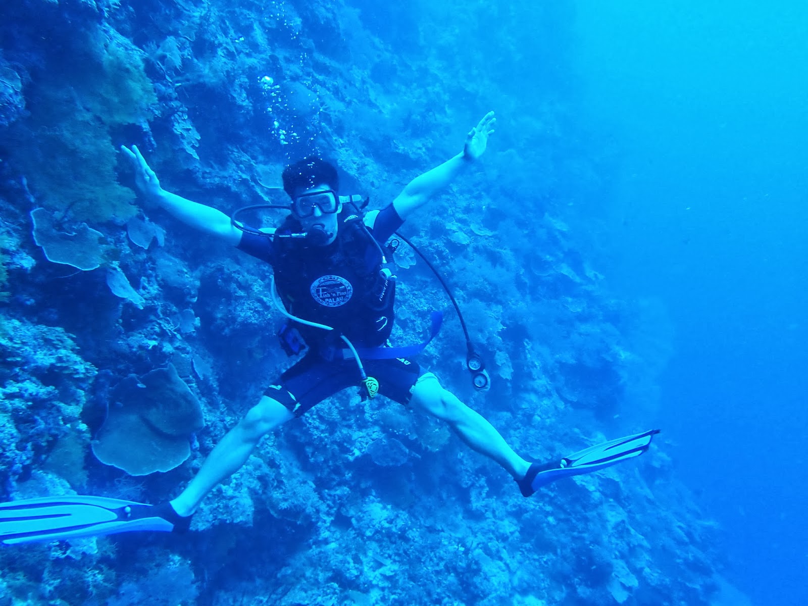 Diving in Palau The Turtle Wall Vikingess Voyages
