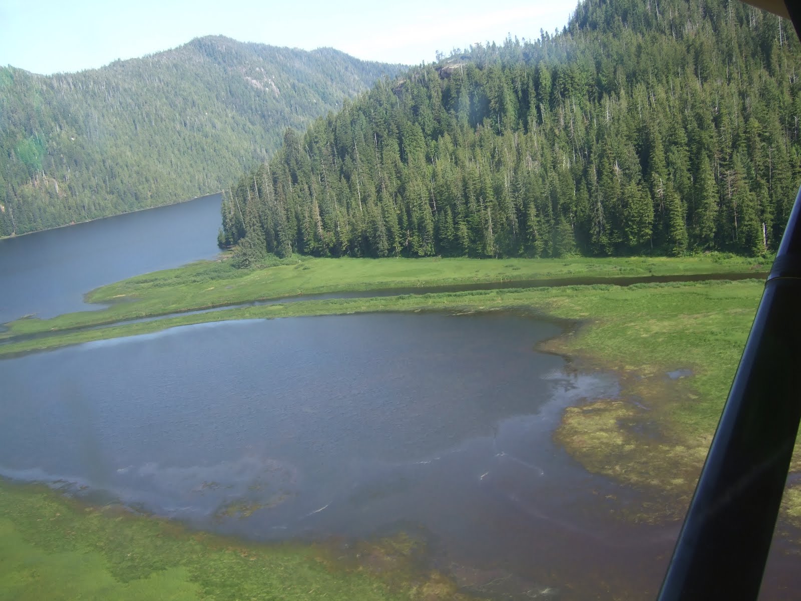 Dispatches From Camp Ketchikan Forest Service Cabin Manzanita Lake