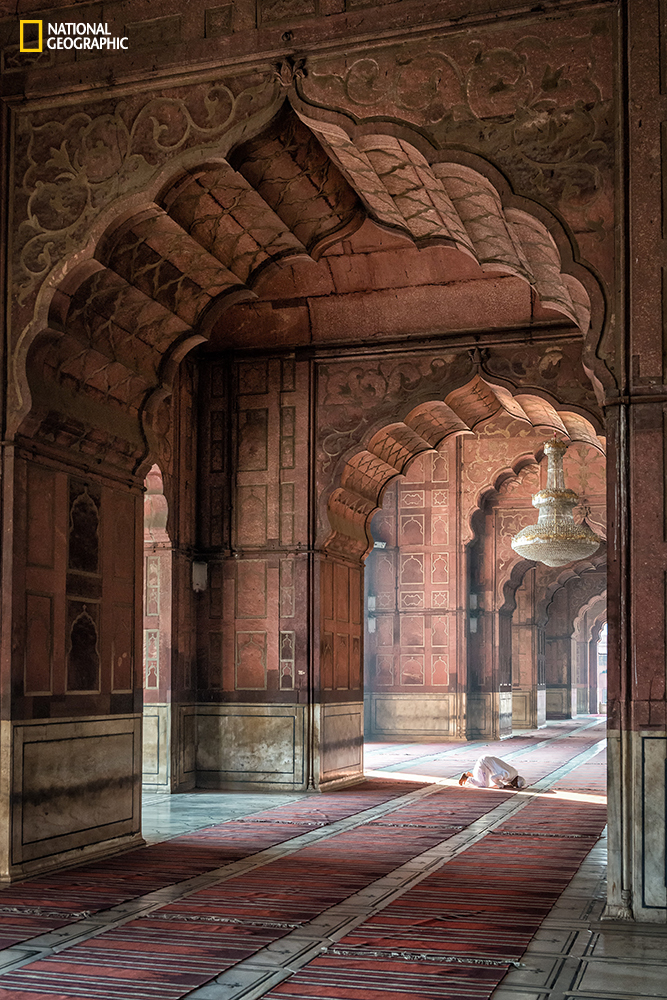 Διαγωνισμός φωτογραφίας National Geographic, Τοποθεσία: Delhi, NCT, India