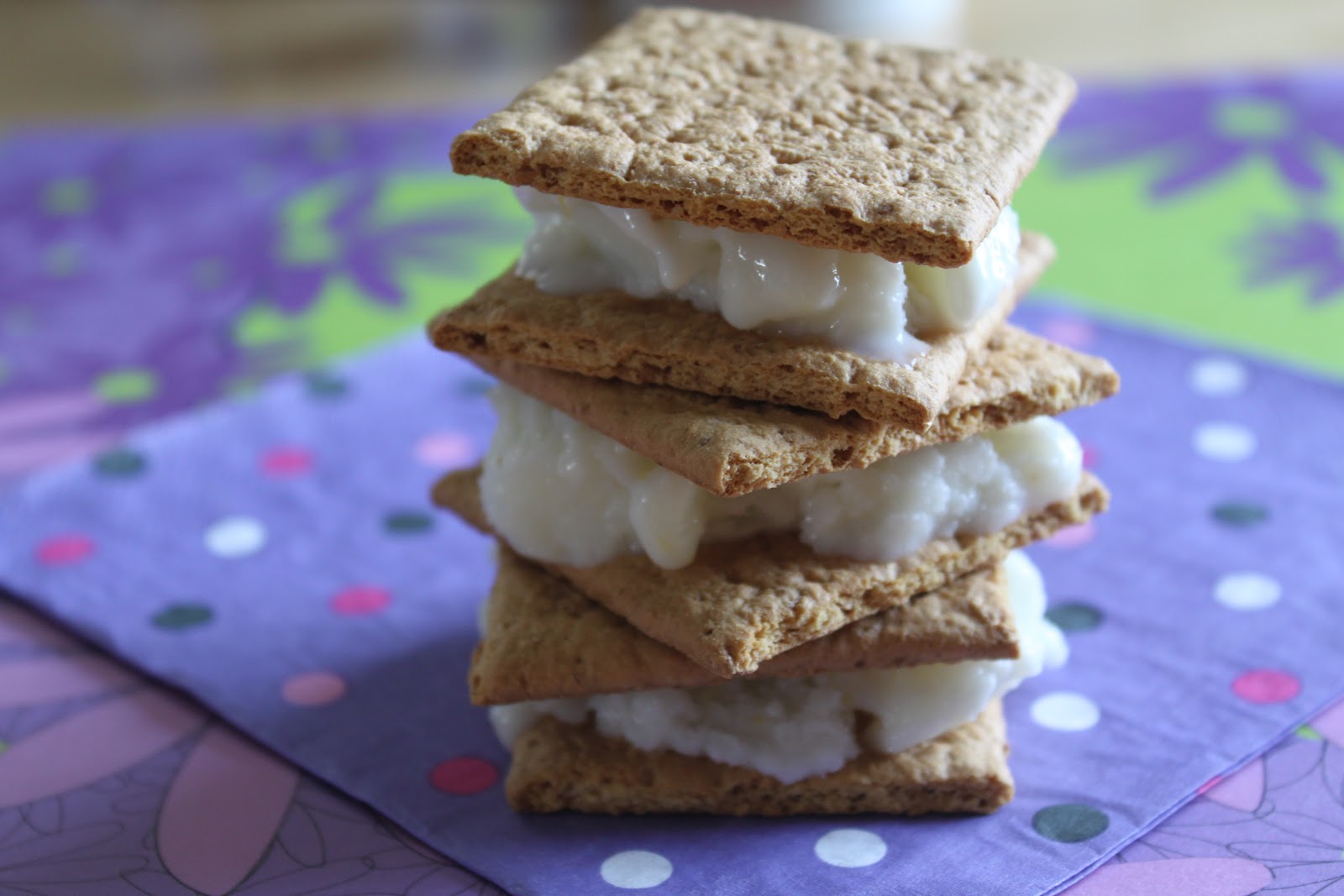 Helpful Daddy Graham Cracker Ice Cream Sandwiches by Jessica Seinfeld