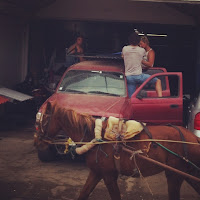 Kai, Shawn & volunteers loading up our donation of building materials in Rivas. A tiny horse at the face of the picture while the donations or towards the back.