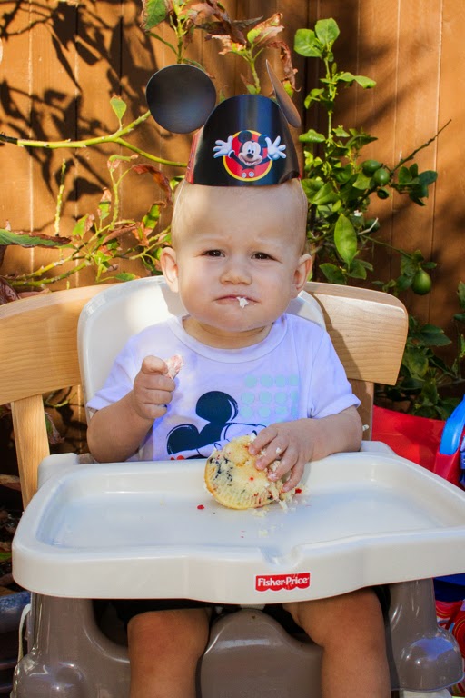 Tales of the Flowers: Ian&rsquo;s first birthday party!