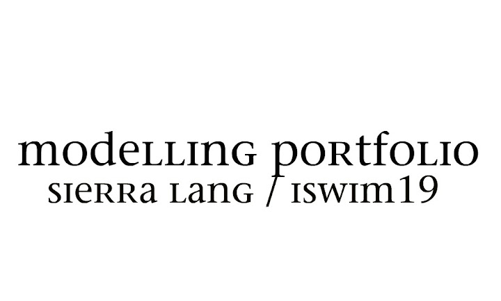 iswim19's portfolio