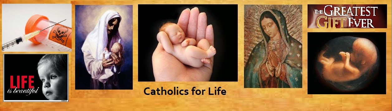 Catholics for Life
