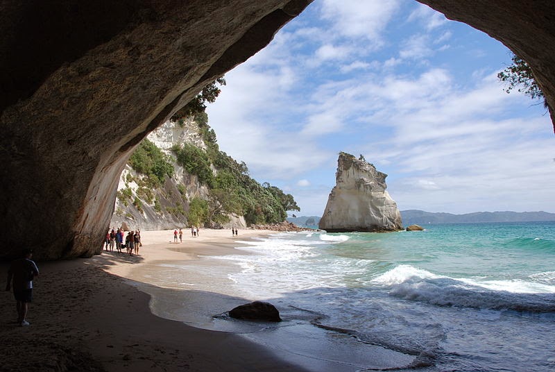 Teenager's Dreams TripNova Zelândia