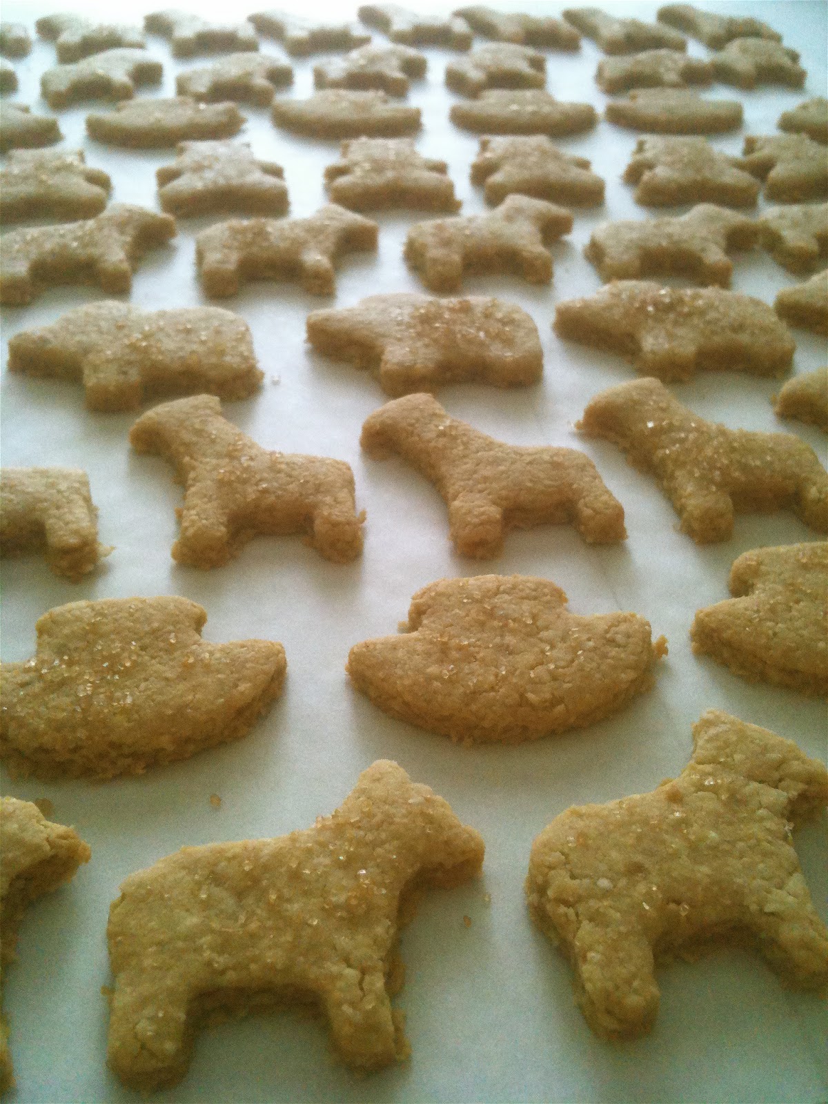 Dough and Batter recipe testing 2 animal cracker cookies