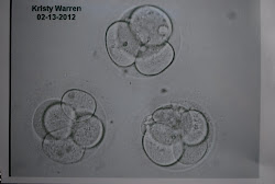 Our precious embryos