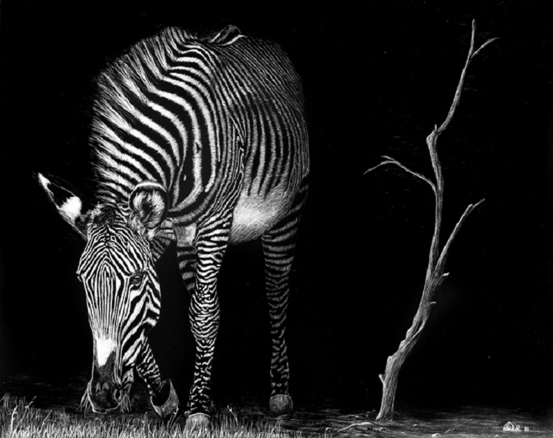 My Work of Art Scratchboard work