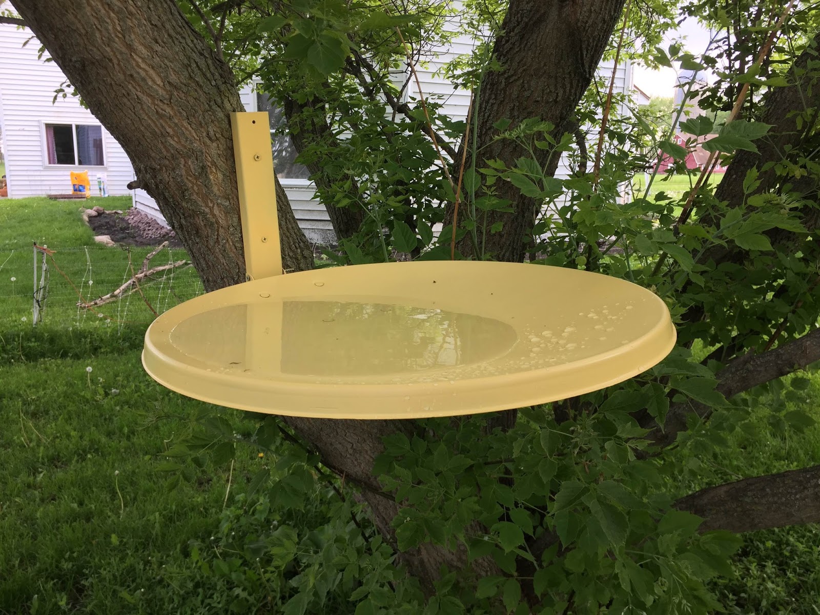 DIY Sunday Satellite Dish Bird Bath The Dabbling Crafter