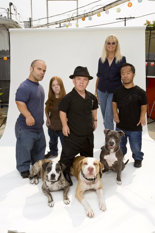 el blog de el aguijon musical overblog