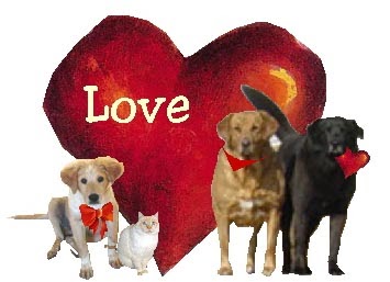 Talking Dogs at For Love of a Dog: Happy Valentine's Day from For Love