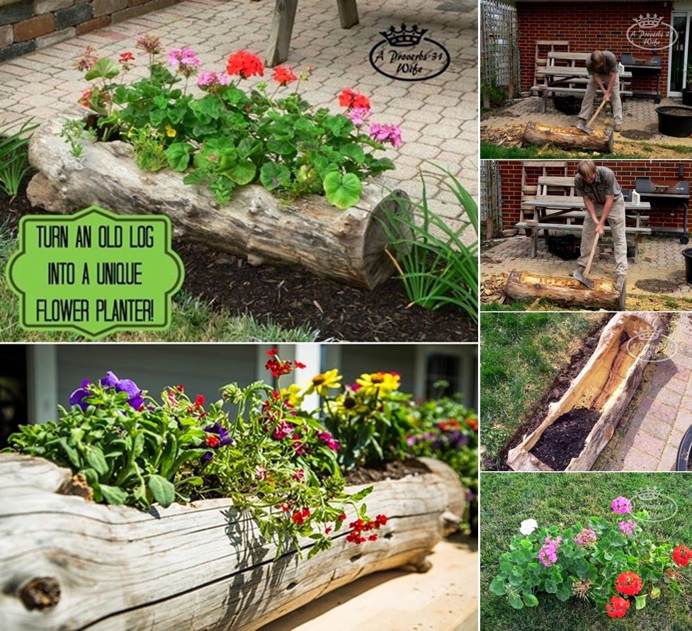 DIY How to Make a Log Planter for Flowers DIY Craft Projects