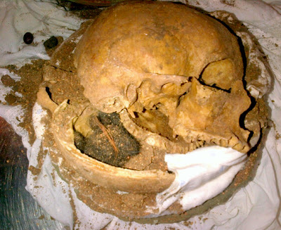 Skull Fragments Discovered at FLL Skull Fragments Discovered at FLL