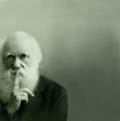 Darwin