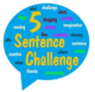 5 Sentence Challenge