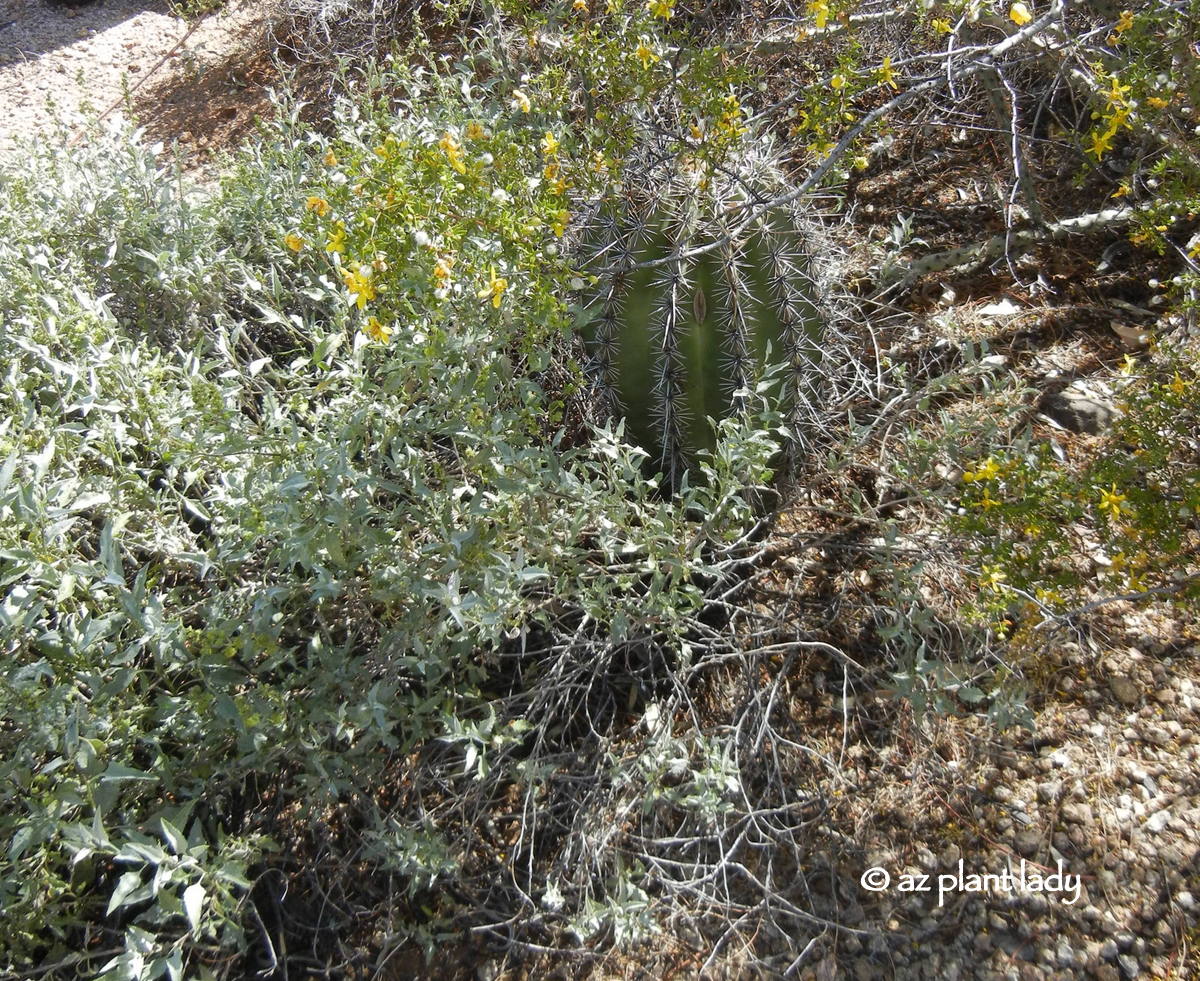 Adventures In Greece Trip 4 Day 1 November 9 Berbati Valley