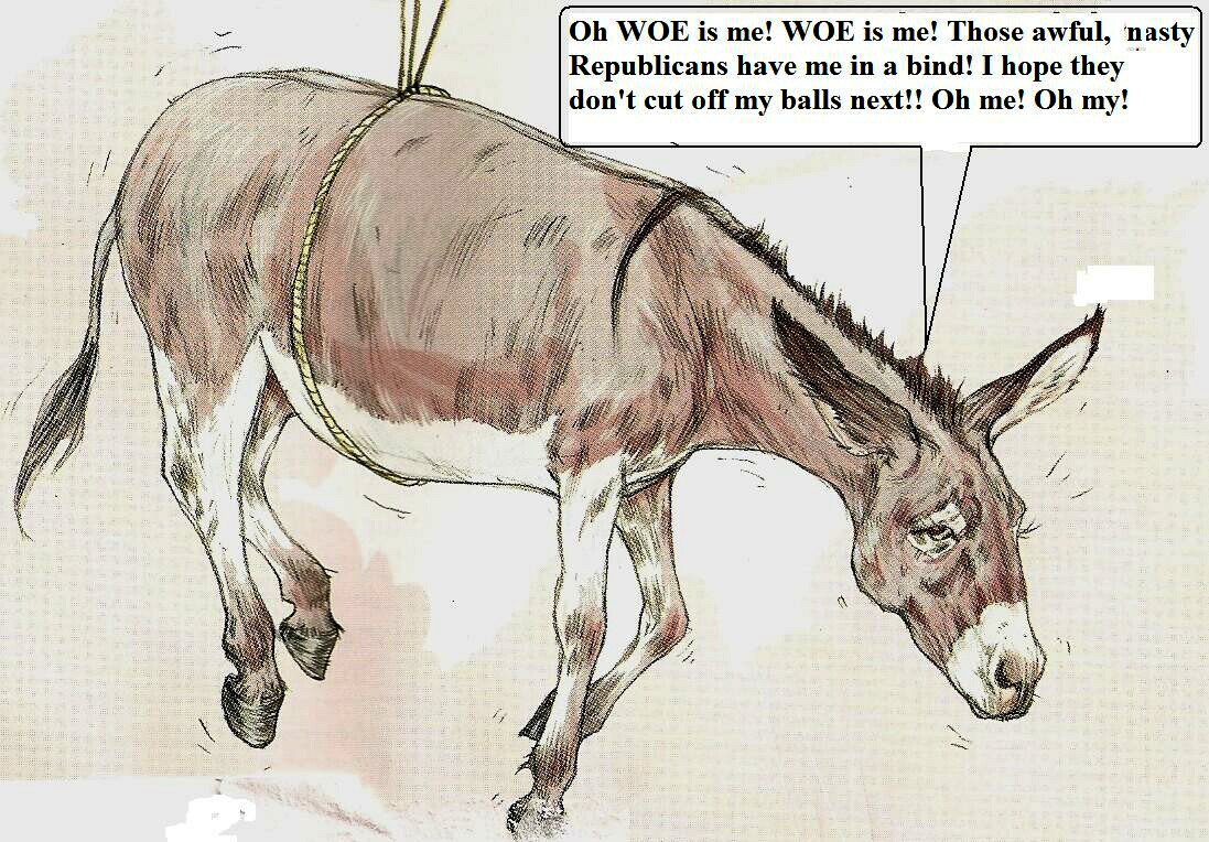 Brane Space Can We Get This Donkey a Balls and Spine Transplant?