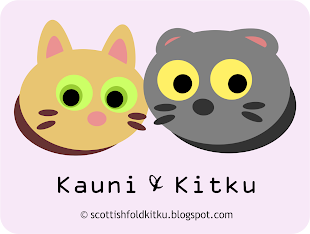 The Cats/Kissat: