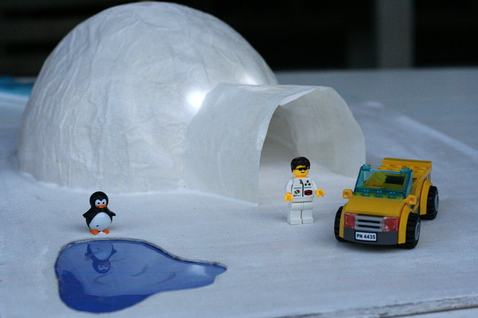 two sons School Project Building an Igloo