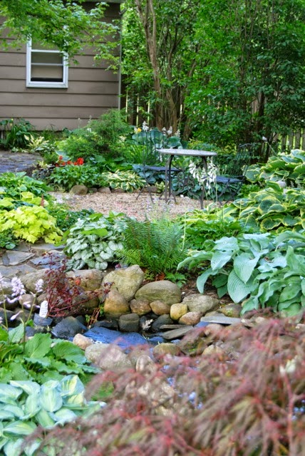 A colorful hosta garden