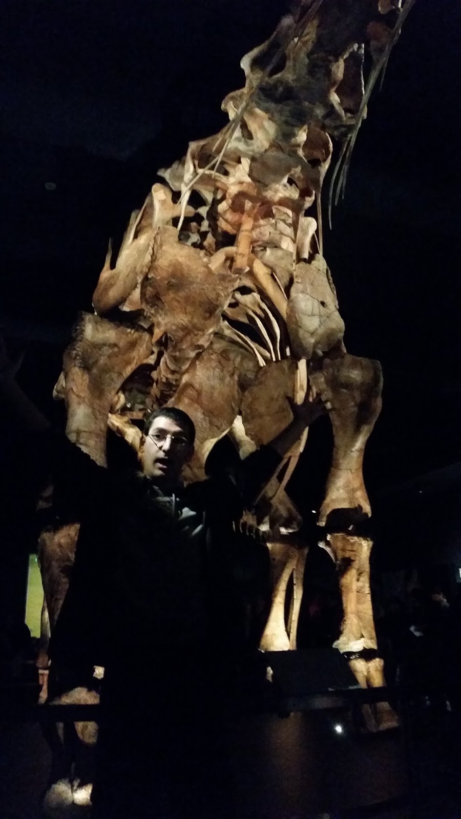 The Meniscus Why Were Prehistoric Animals So Big?