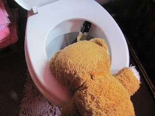 Drunk-Bear.jpg