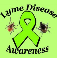 http://1.bp.blogspot.com/-IIIm2eUAR2M/T6F25zayJpI/AAAAAAAAAbI/V0tNtCA76Sg/s320/lyme.disease%2B%25281%2529.awareness