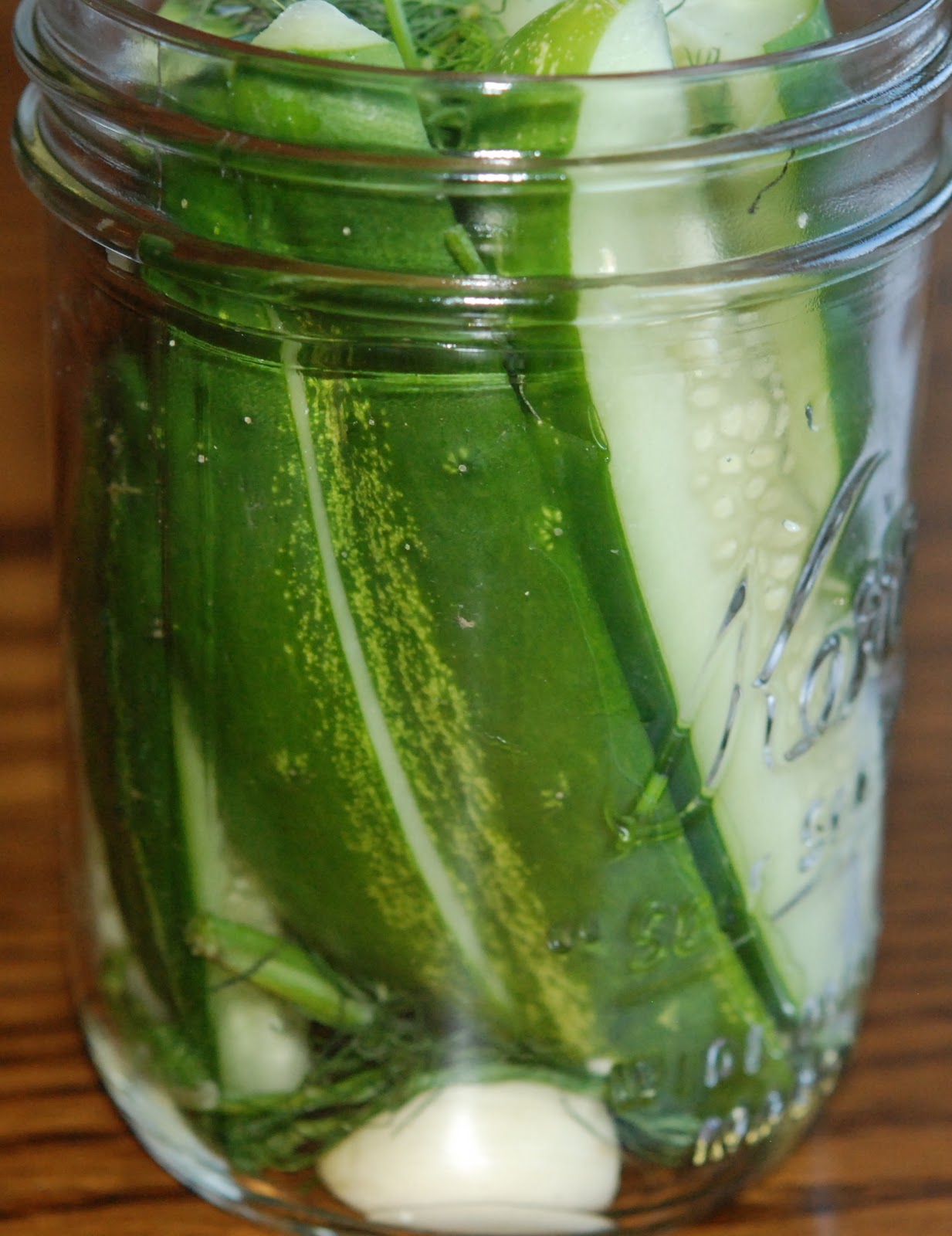 marys bites Canning Dill Pickles With Aunt Carol’s Brine