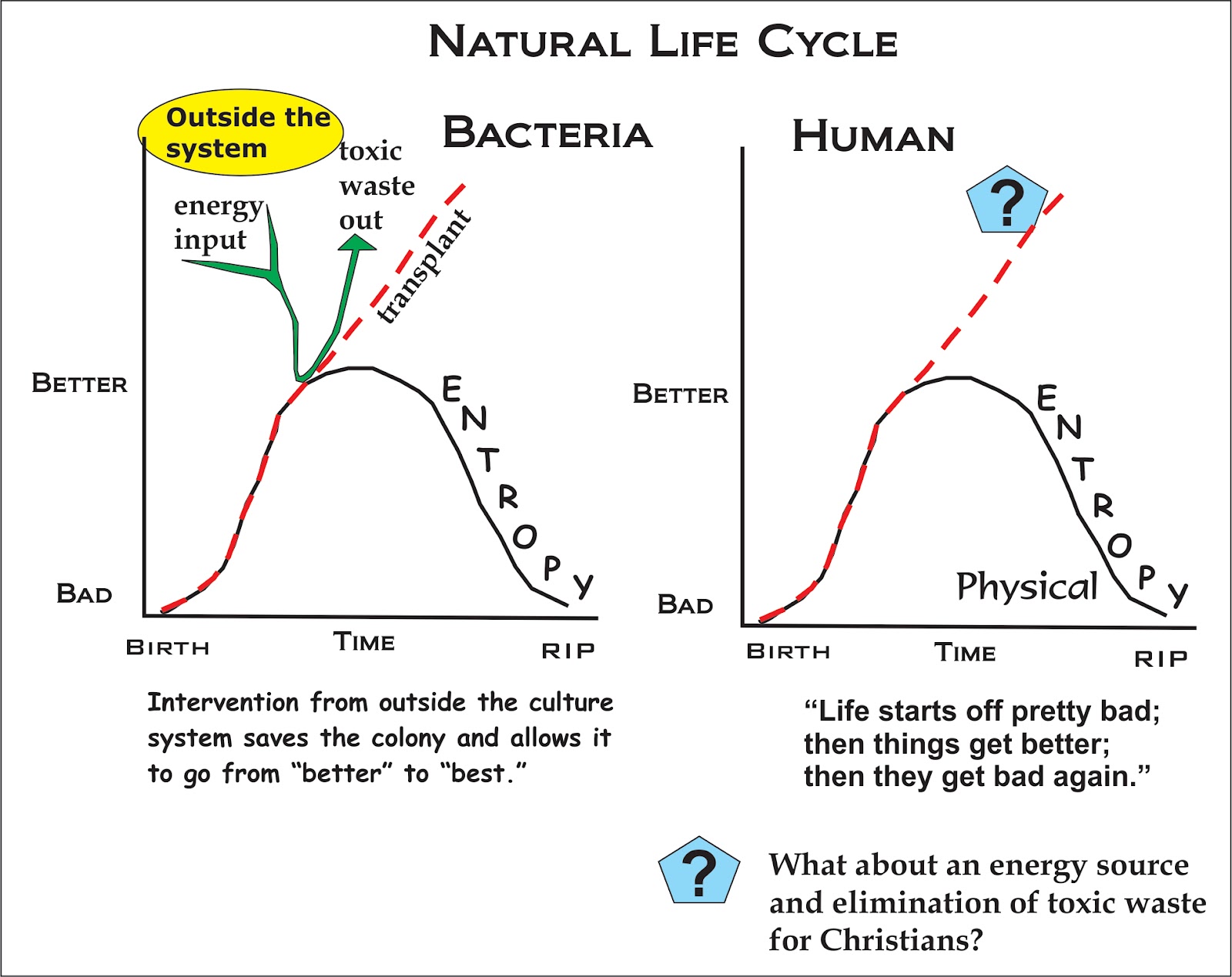 Human Cycle