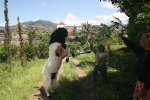 ETAWA GOATS