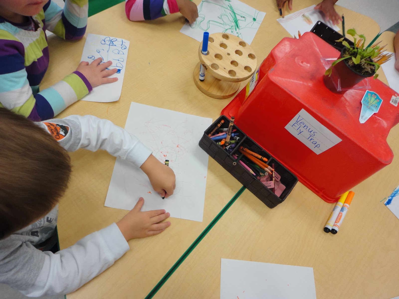 Thinking and Learning in Room 122: A Day with the Venus Fly Trap