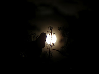Dream moon