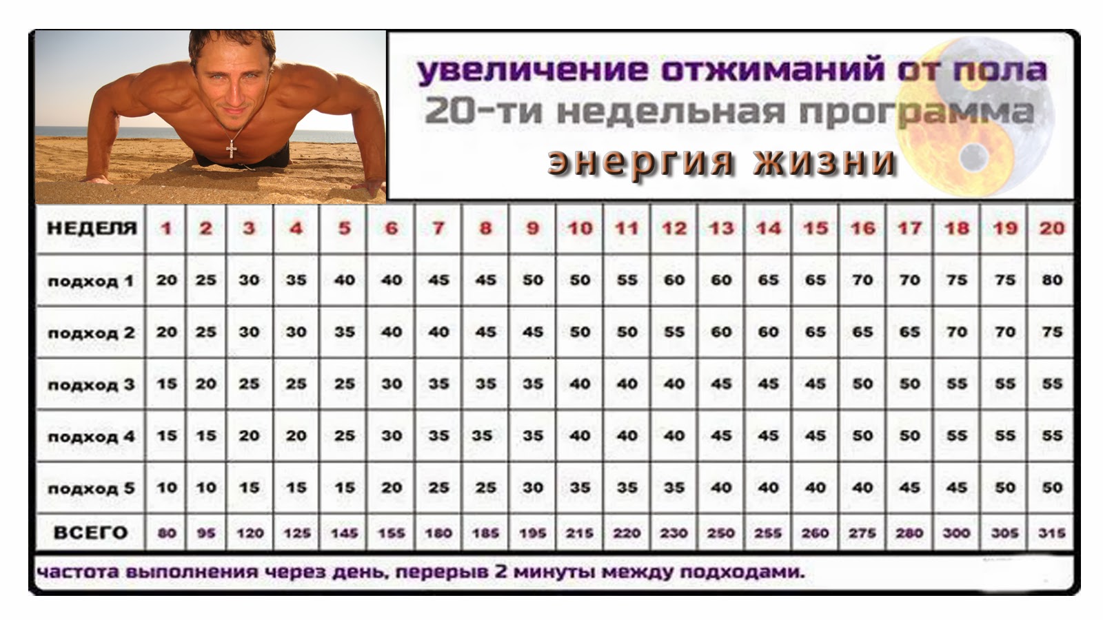 Программа Подтягиваний И Отжиманий - broduse