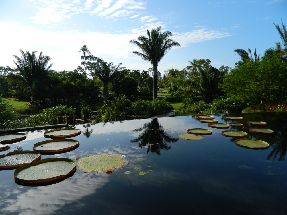Brazilian Garden Naples Botanical Garden infinity waterfall by garden muses-a Toronto gardening blog Brazilian Garden Naples Botanical Garden infinity waterfall by garden muses-a Toronto gardening blog