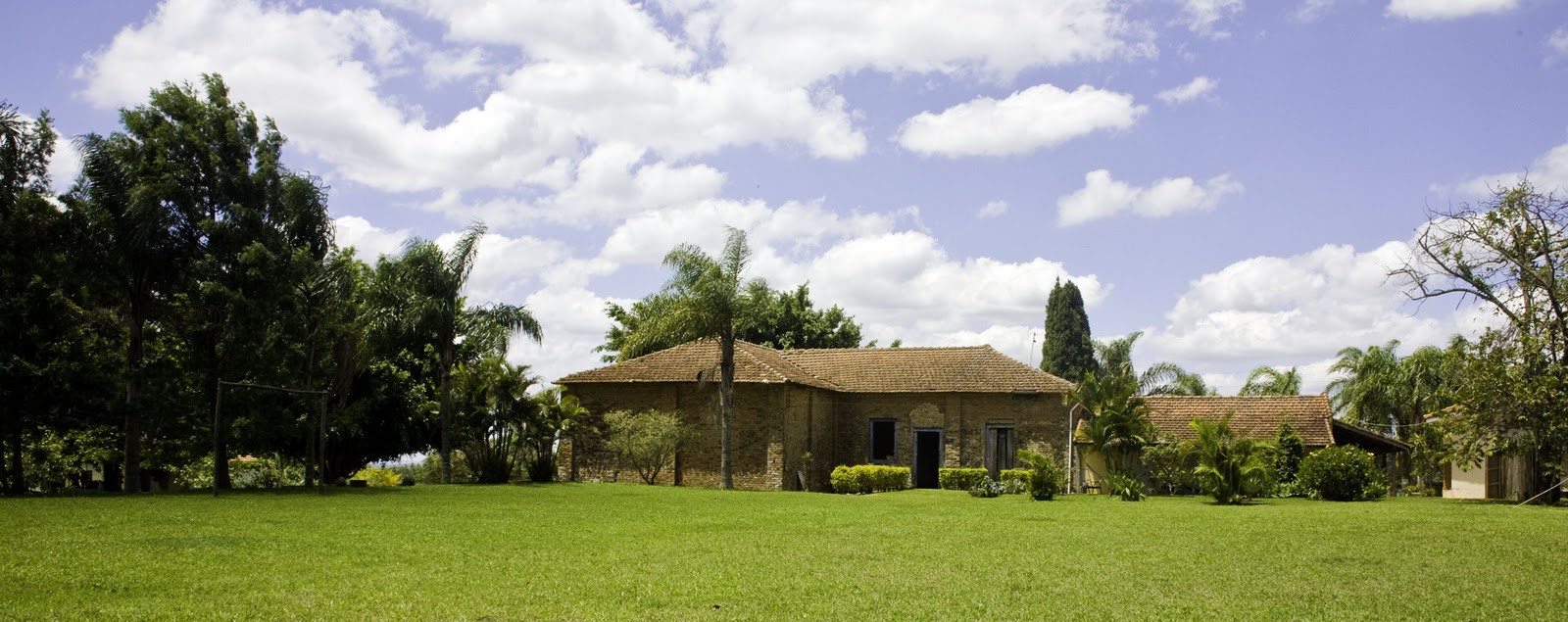 Viajar, Comer e Fotografar! BIRDWATCHING EM SÃO PEDRO PARTE II