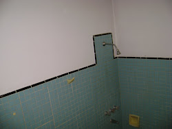 Baño Integro